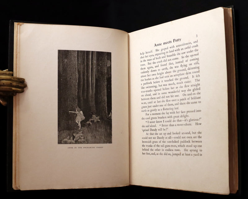 1921 Rare First UK Edition in a beautiful binding ~ THE ENCHANTED FOREST by Ida Rentoul Outhwaite color illustrated.