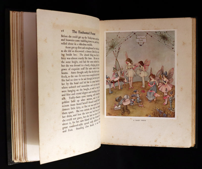 1921 Rare First UK Edition in a beautiful binding ~ THE ENCHANTED FOREST by Ida Rentoul Outhwaite color illustrated.