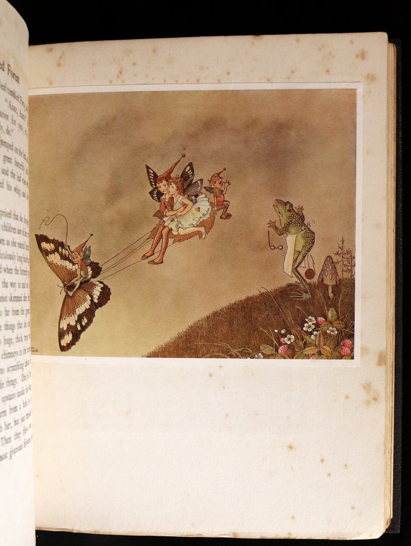 1921 Rare First UK Edition in a beautiful binding ~ THE ENCHANTED FOREST by Ida Rentoul Outhwaite color illustrated.
