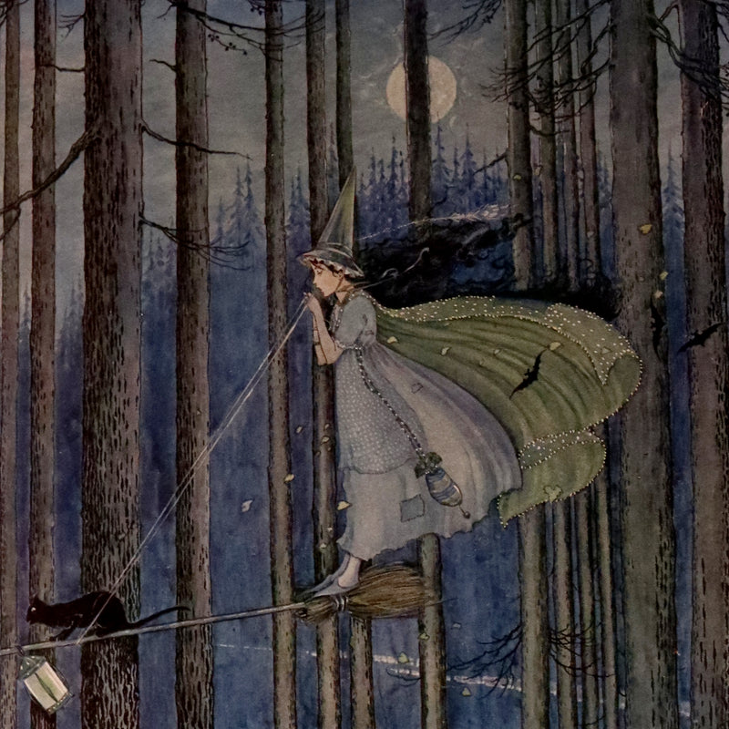 1921 Rare First UK Edition in a beautiful binding ~ THE ENCHANTED FOREST by Ida Rentoul Outhwaite color illustrated.