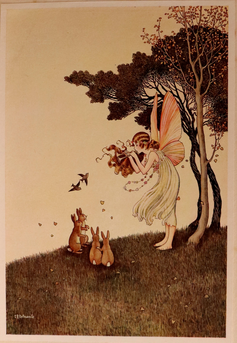 1921 Rare First UK Edition in a beautiful binding ~ THE ENCHANTED FOREST by Ida Rentoul Outhwaite color illustrated.