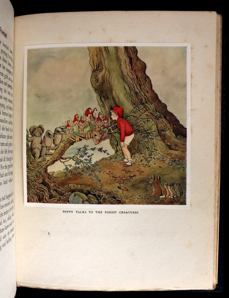 1921 Rare First UK Edition in a beautiful binding ~ THE ENCHANTED FOREST by Ida Rentoul Outhwaite color illustrated.