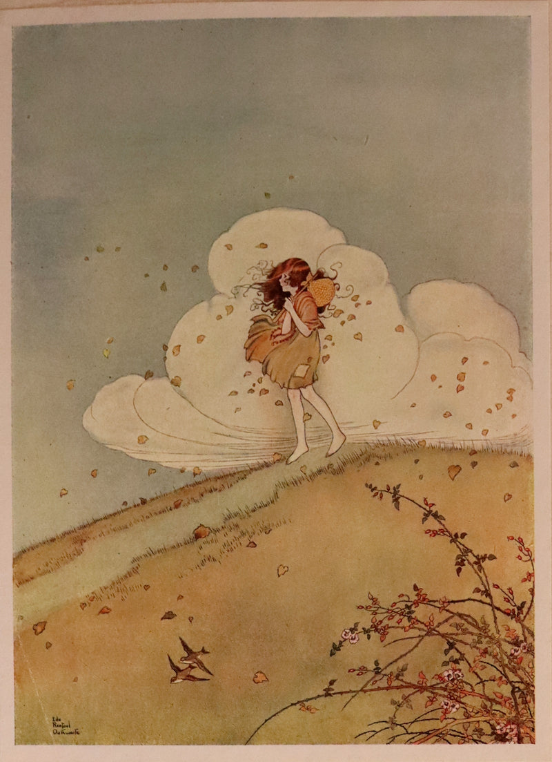 1921 Rare First UK Edition in a beautiful binding ~ THE ENCHANTED FOREST by Ida Rentoul Outhwaite color illustrated.