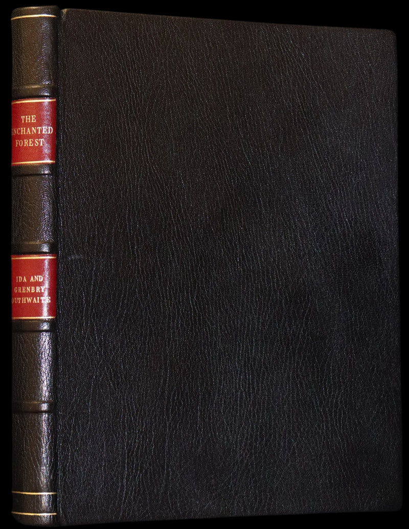 1921 Rare First UK Edition in a beautiful binding ~ THE ENCHANTED FOREST by Ida Rentoul Outhwaite color illustrated.