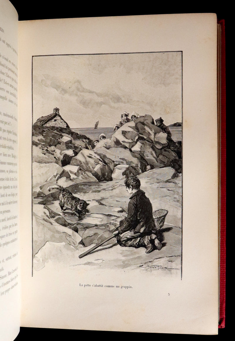 1904 Rare French First Edition - The Islands Fairy - LA FÉE DES ILES by Pierre Maël. Illustrated.