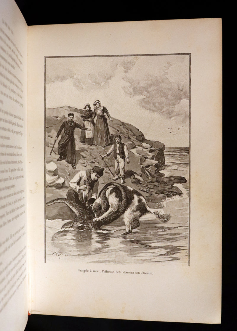 1904 Rare French First Edition - The Islands Fairy - LA FÉE DES ILES by Pierre Maël. Illustrated.