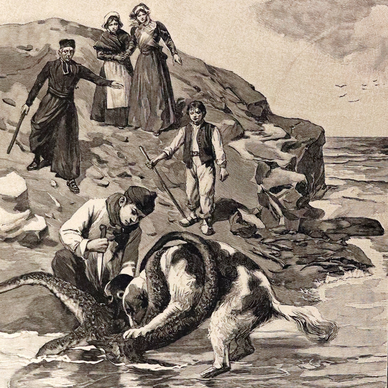 1904 Rare French First Edition - The Islands Fairy - LA FÉE DES ILES by Pierre Maël. Illustrated.