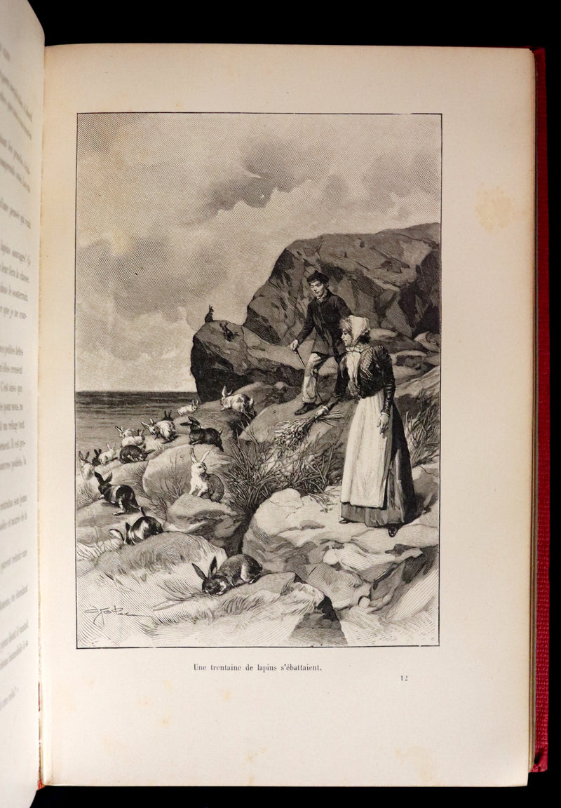 1904 Rare French First Edition - The Islands Fairy - LA FÉE DES ILES by Pierre Maël. Illustrated.