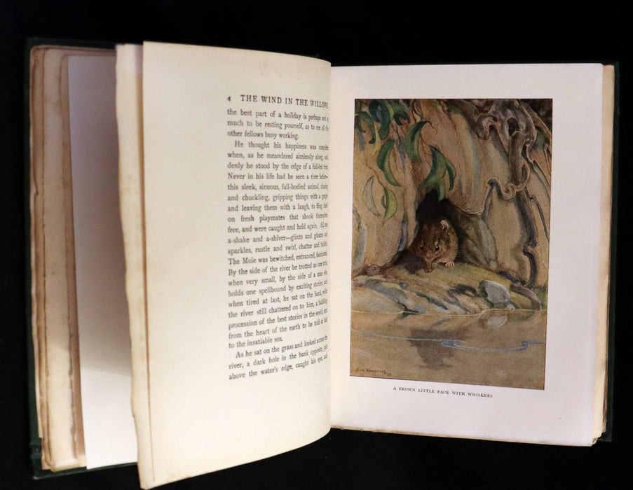 1913 First Edition illustrated by Paul BRANSOM - The WIND IN THE WILLOWS by K. Grahame.