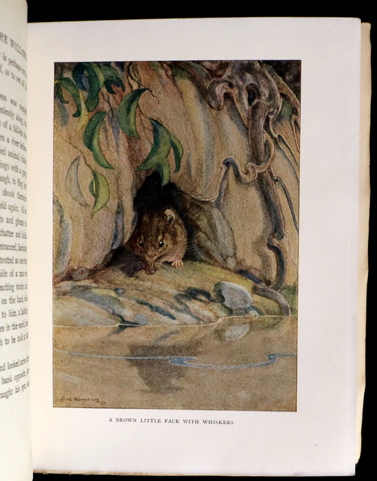 1913 First Edition illustrated by Paul BRANSOM - The WIND IN THE WILLOWS by K. Grahame.