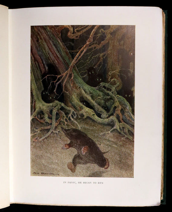 1913 First Edition illustrated by Paul BRANSOM - The WIND IN THE WILLOWS by K. Grahame.