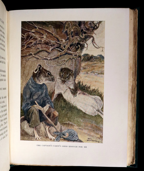 1913 First Edition illustrated by Paul BRANSOM - The WIND IN THE WILLOWS by K. Grahame.