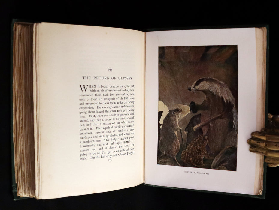 1913 First Edition illustrated by Paul BRANSOM - The WIND IN THE WILLOWS by K. Grahame.