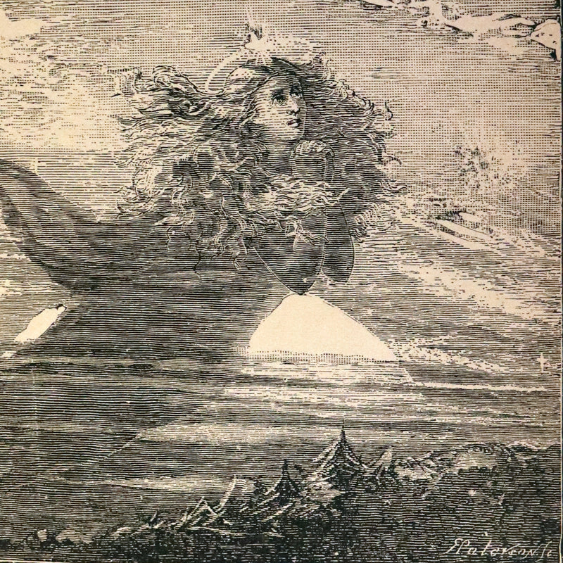 1882 Rare Book - Poems of EDGAR ALLAN POE with a full and impartial Memoir of the Poet.