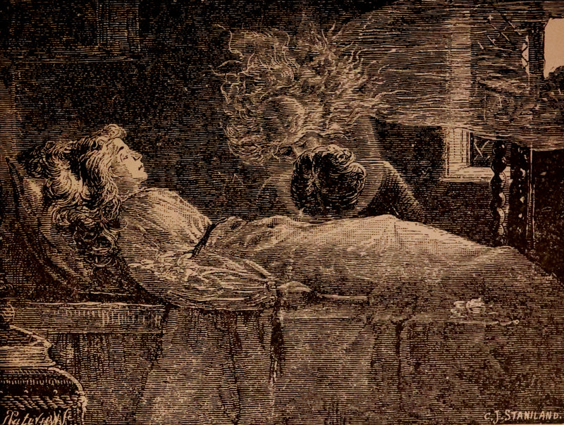 1882 Rare Book - Poems of EDGAR ALLAN POE with a full and impartial Memoir of the Poet.