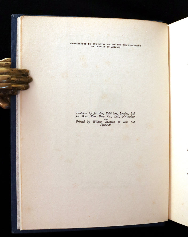 1930 Rare Illustrated Edition by Cecil ALDIN - BLACK BEAUTY, Autobiography of a Horse by A. Sewell.