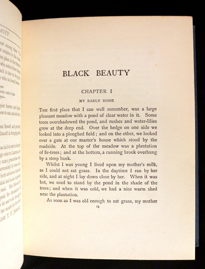1930 Rare Illustrated Edition by Cecil ALDIN - BLACK BEAUTY, Autobiography of a Horse by A. Sewell.