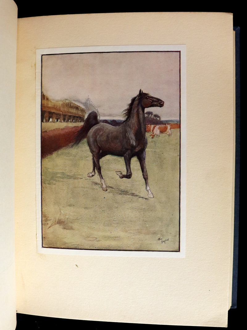 1930 Rare Illustrated Edition by Cecil ALDIN - BLACK BEAUTY, Autobiography of a Horse by A. Sewell.