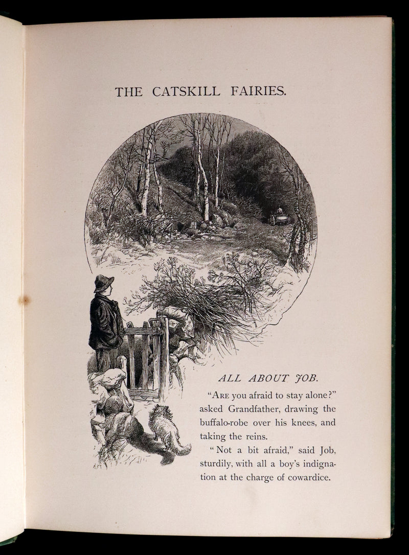 1876 Scarce Book - The CATSKILL FAIRIES by Virginia W. Johnson, illustrated by Alfred Fredericks.