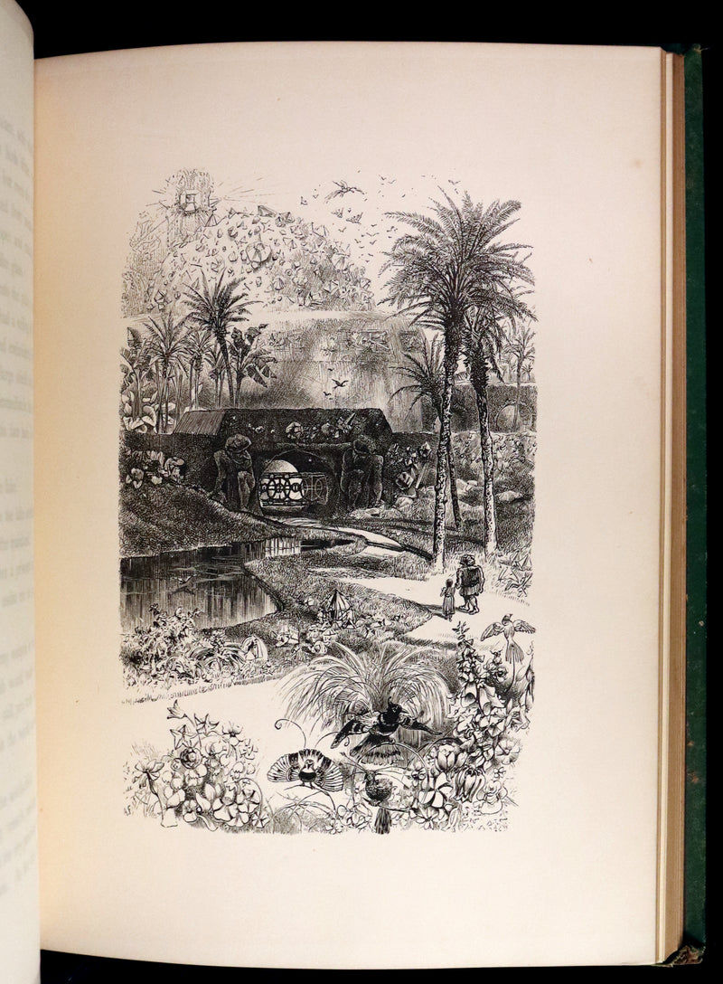 1876 Scarce Book - The CATSKILL FAIRIES by Virginia W. Johnson, illustrated by Alfred Fredericks.