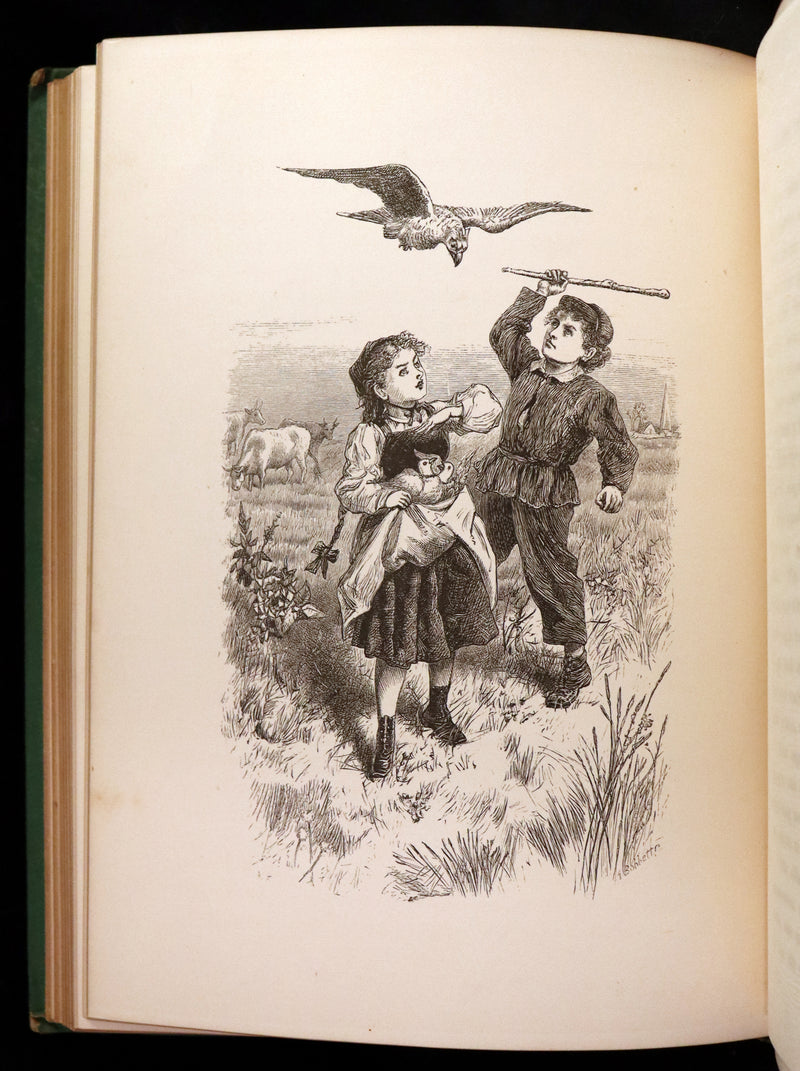 1876 Scarce Book - The CATSKILL FAIRIES by Virginia W. Johnson, illustrated by Alfred Fredericks.