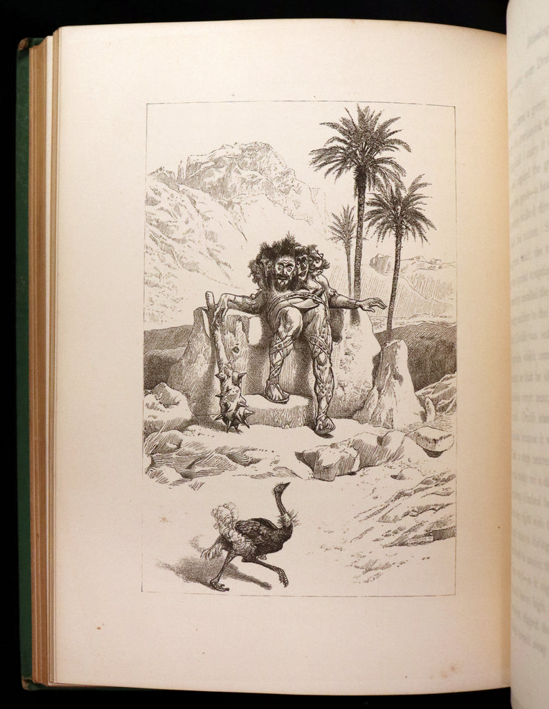 1876 Scarce Book - The CATSKILL FAIRIES by Virginia W. Johnson, illustrated by Alfred Fredericks.
