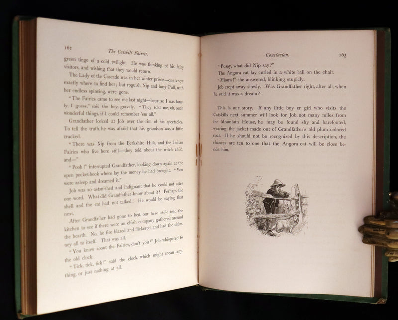 1876 Scarce Book - The CATSKILL FAIRIES by Virginia W. Johnson, illustrated by Alfred Fredericks.