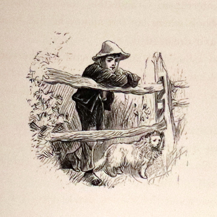 1876 Scarce Book - The CATSKILL FAIRIES by Virginia W. Johnson, illustrated by Alfred Fredericks.