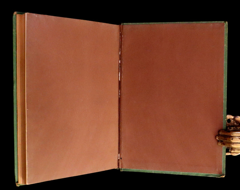 1876 Scarce Book - The CATSKILL FAIRIES by Virginia W. Johnson, illustrated by Alfred Fredericks.