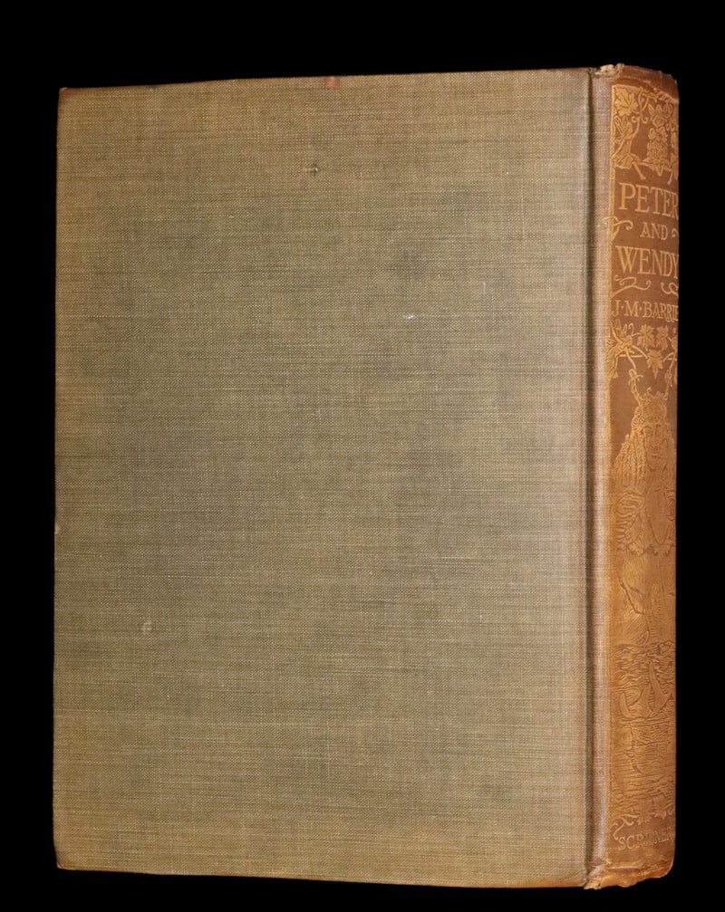 1911 Rare PETER PAN First Edition - PETER and WENDY by James Matthew Barrie illustrated by F.D. Bedford.