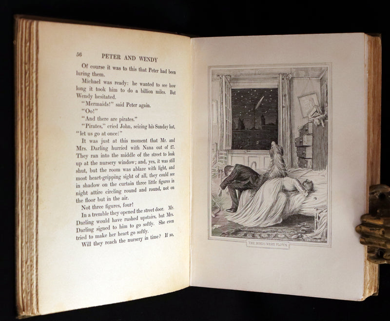 1911 Rare PETER PAN First Edition - PETER and WENDY by James Matthew Barrie illustrated by F.D. Bedford.