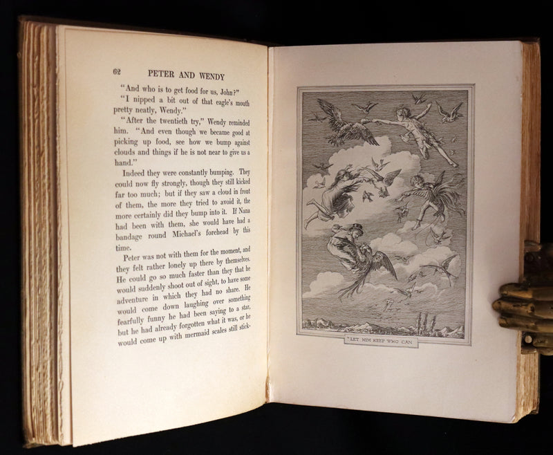 1911 Rare PETER PAN First Edition - PETER and WENDY by James Matthew Barrie illustrated by F.D. Bedford.