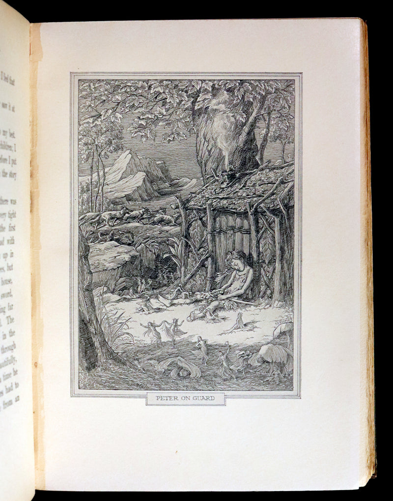 1911 Rare PETER PAN First Edition - PETER and WENDY by James Matthew Barrie illustrated by F.D. Bedford.