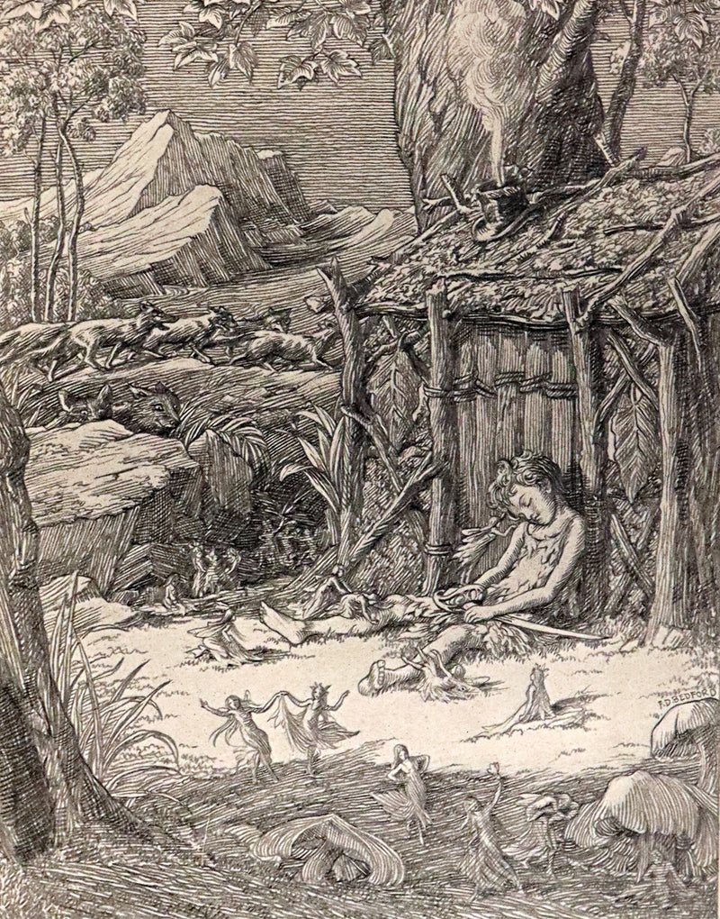 1911 Rare PETER PAN First Edition - PETER and WENDY by James Matthew Barrie illustrated by F.D. Bedford.