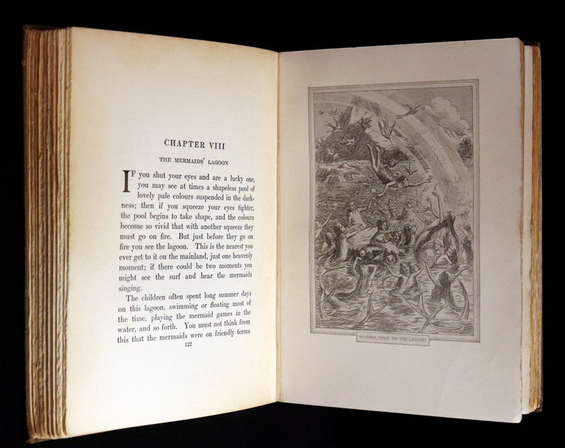 1911 Rare PETER PAN First Edition - PETER and WENDY by James Matthew Barrie illustrated by F.D. Bedford.