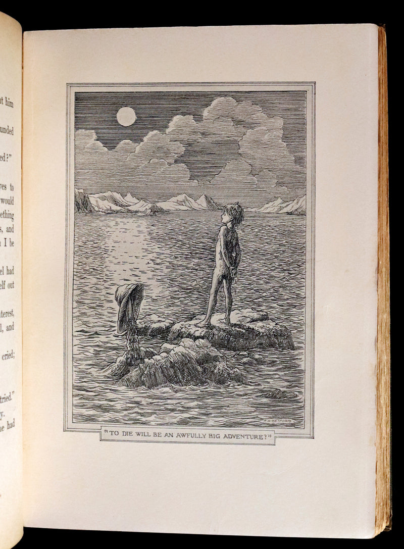 1911 Rare PETER PAN First Edition - PETER and WENDY by James Matthew Barrie illustrated by F.D. Bedford.