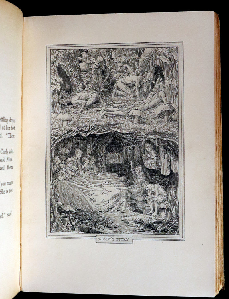 1911 Rare PETER PAN First Edition - PETER and WENDY by James Matthew Barrie illustrated by F.D. Bedford.