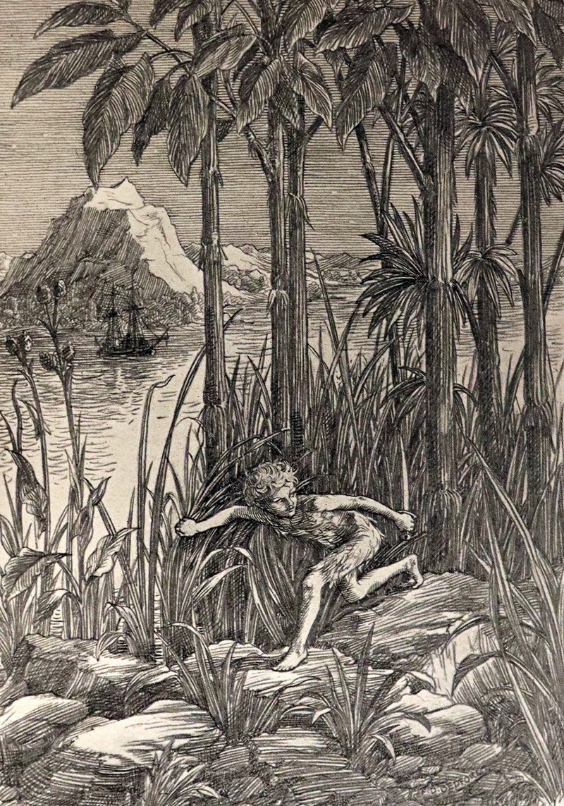 1911 Rare PETER PAN First Edition - PETER and WENDY by James Matthew Barrie illustrated by F.D. Bedford.