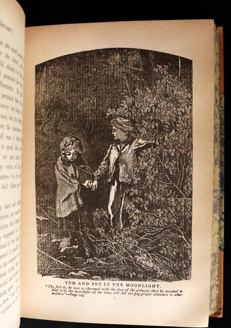 1895 Rare Victorian Book ~ Treasures from FAIRY LAND by Rossiter W. Raymond and Grace Greenwood.