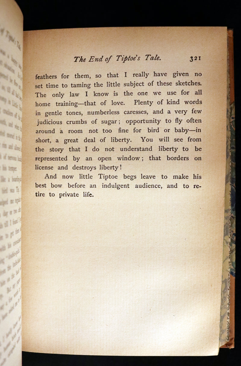 1895 Rare Victorian Book ~ Treasures from FAIRY LAND by Rossiter W. Raymond and Grace Greenwood.