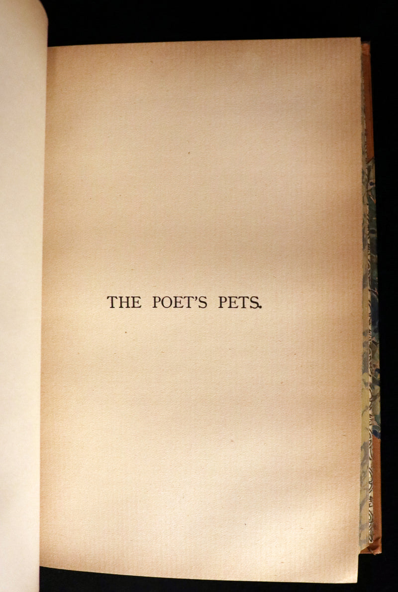 1895 Rare Victorian Book ~ Treasures from FAIRY LAND by Rossiter W. Raymond and Grace Greenwood.