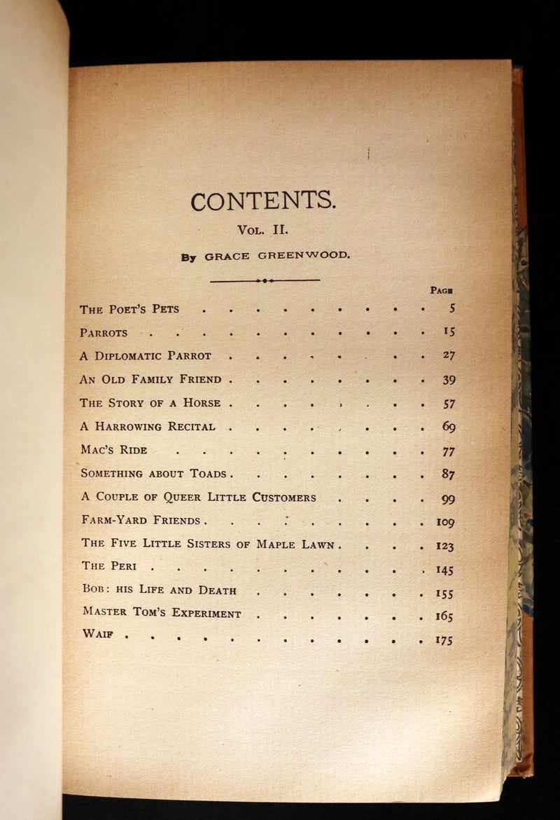 1895 Rare Victorian Book ~ Treasures from FAIRY LAND by Rossiter W. Raymond and Grace Greenwood.