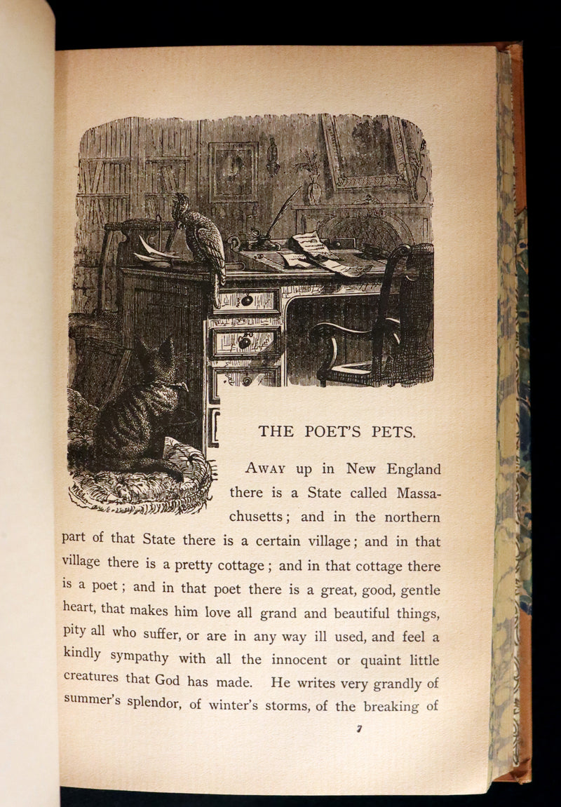 1895 Rare Victorian Book ~ Treasures from FAIRY LAND by Rossiter W. Raymond and Grace Greenwood.