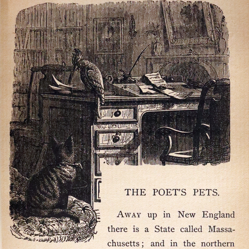 1895 Rare Victorian Book ~ Treasures from FAIRY LAND by Rossiter W. Raymond and Grace Greenwood.