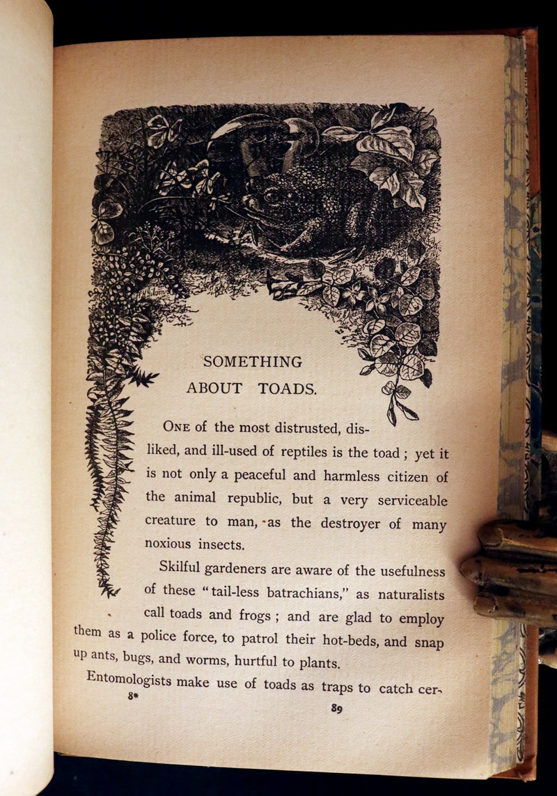 1895 Rare Victorian Book ~ Treasures from FAIRY LAND by Rossiter W. Raymond and Grace Greenwood.