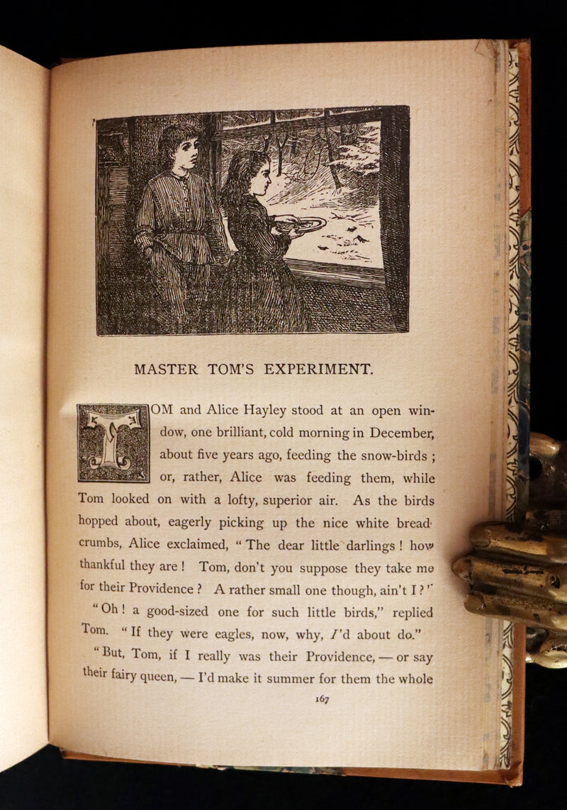 1895 Rare Victorian Book ~ Treasures from FAIRY LAND by Rossiter W. Raymond and Grace Greenwood.