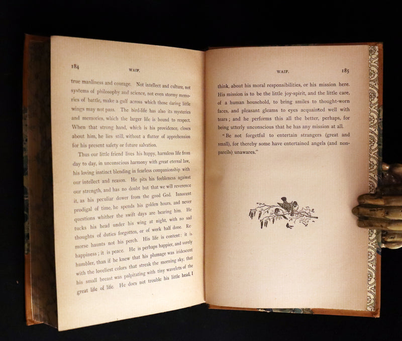 1895 Rare Victorian Book ~ Treasures from FAIRY LAND by Rossiter W. Raymond and Grace Greenwood.