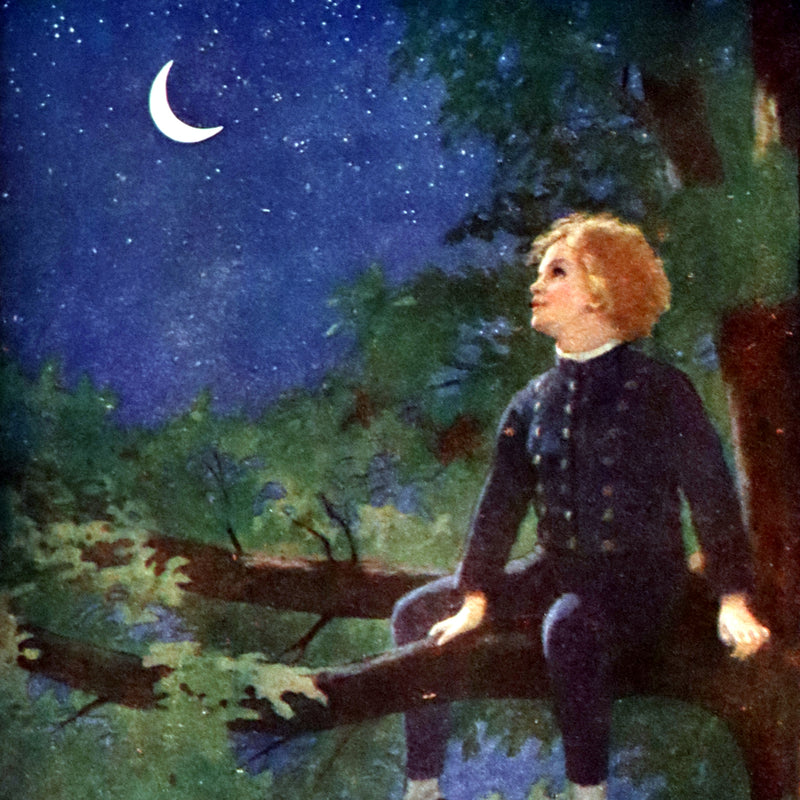 1909 Rare Book - AT THE BACK OF THE NORTH WIND. First Edition illustrated by Maria L. Kirk.