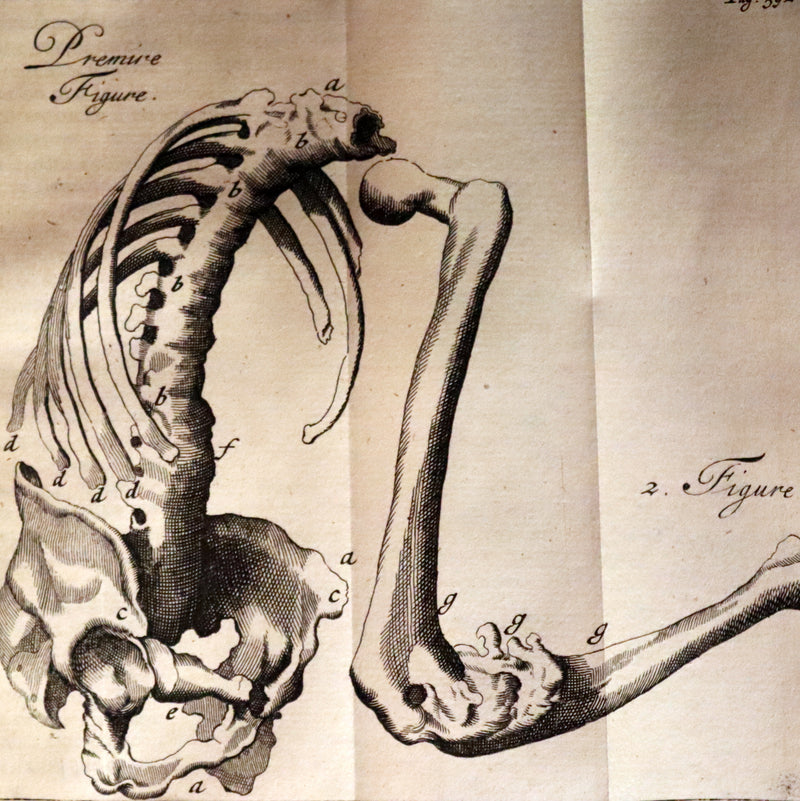 1694 Scarce French Book - Scientists' Journal for year 1693 - Journal des SCAVANS pour l'année 1693.