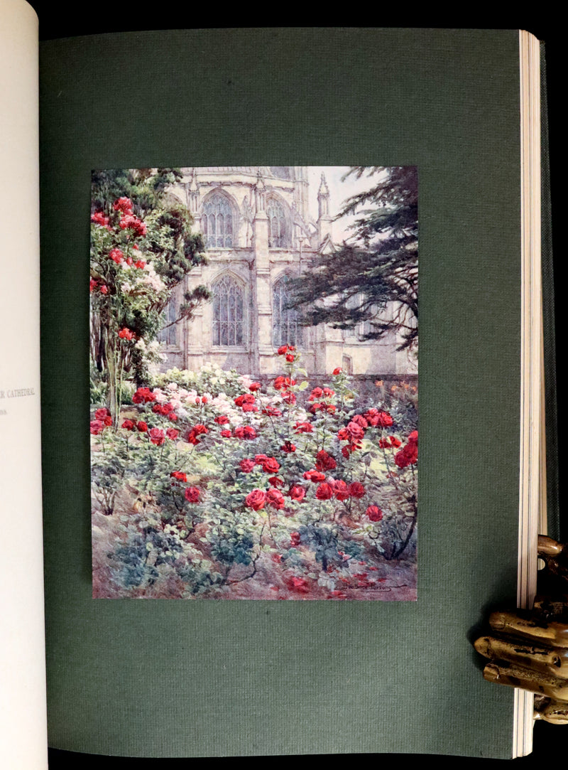 1914 Scarce Gardening Book - ROSES AND ROSE GARDENS by Walter P. Wright. Illustrated.